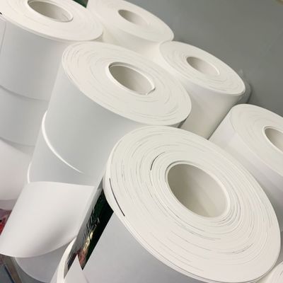 품질  0.1µM - 5µM Pore Size Nylon (Polyamide) Membrane Filter Circles 공장